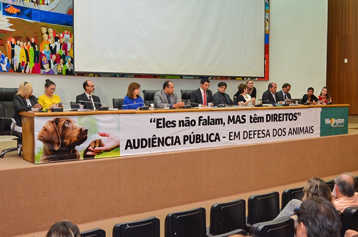 Lei de Proteção aos Animais é tema de Audiência Pública na Assembleia