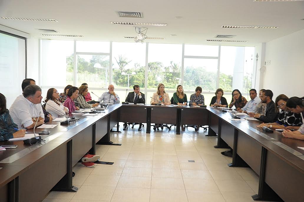 Valéria Macedo preside reunião que discutiu a mortalidade materna 