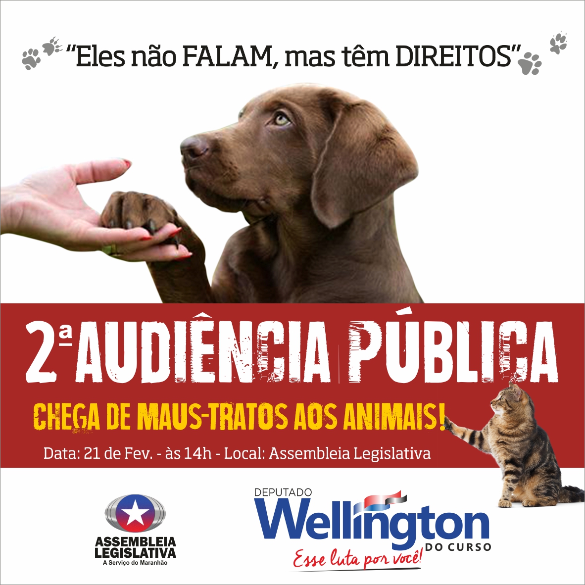 Deputado Wellington do Curso realizará Audiência Pública em defesa dos animais