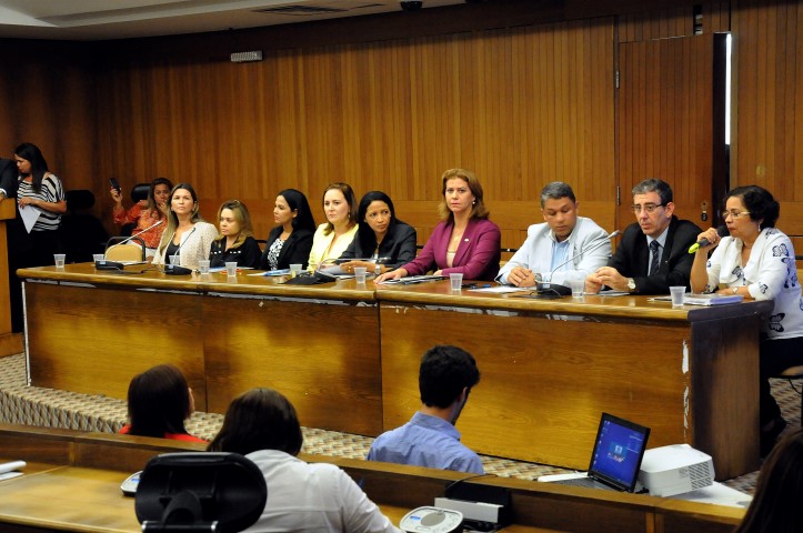 Lançada Frente Parlamentar de Combate à Violência Contra a Mulher