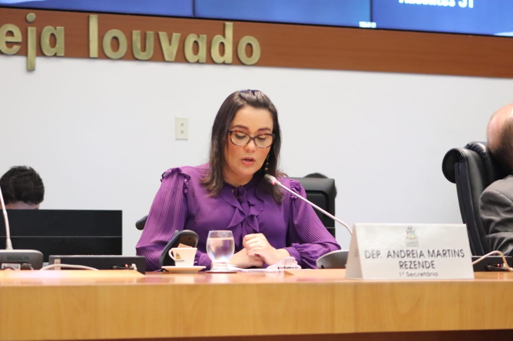 Andreia Rezende propõe implantação do programa "Luz Para Todos” em Balsas   