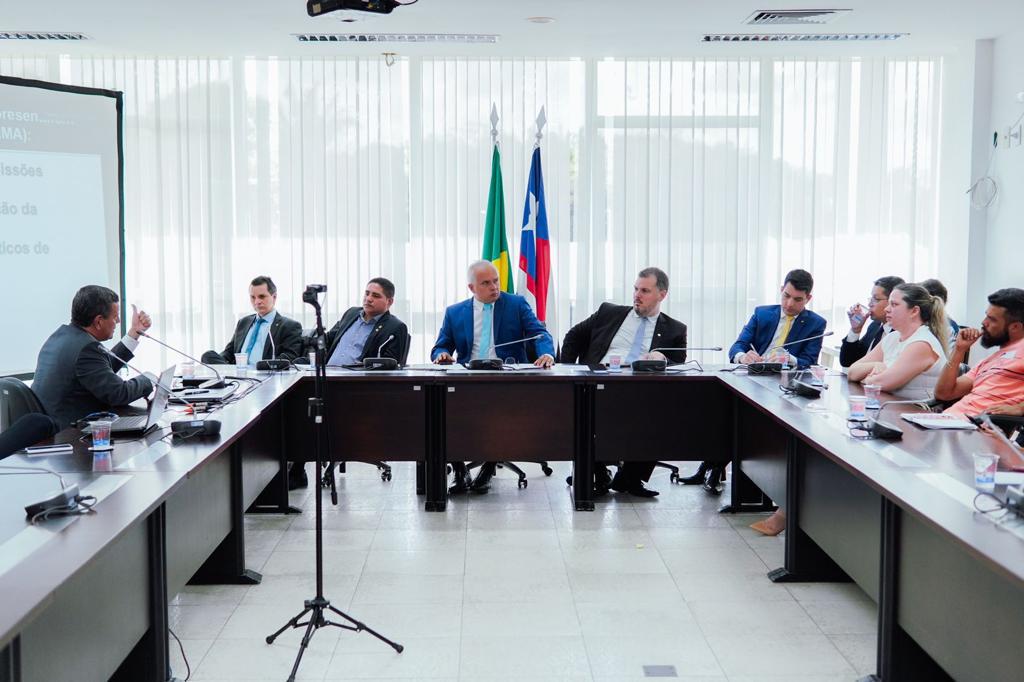 Comissão de Meio Ambiente discute qualidade do ar na região metropolitana de São Luís