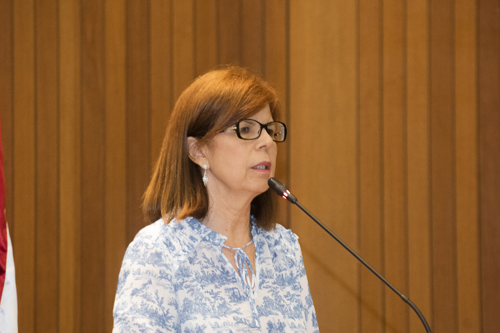 Procuradora da Mulher na Assembleia destaca avanços dos 13 anos da Lei Maria da Penha