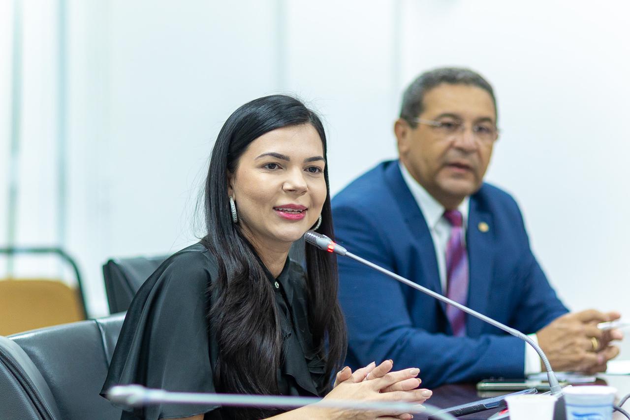 Presidente da Comissão, deputada Janaína ressaltou relevância da iniciativa idealizada pelo Governo do Maranhão
