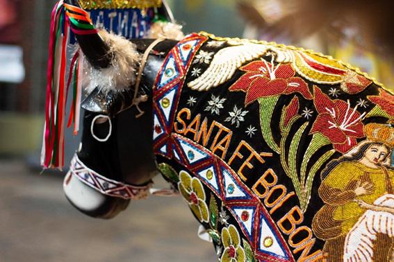 Boi Unidos de Santa Fé tem grande destaque nas festividades culturais do Maranhão 