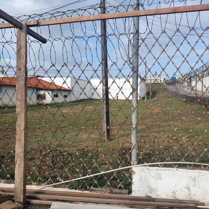 Yglésio e ONGs selecionam espaço para projeto que beneficiará cães abandonados 