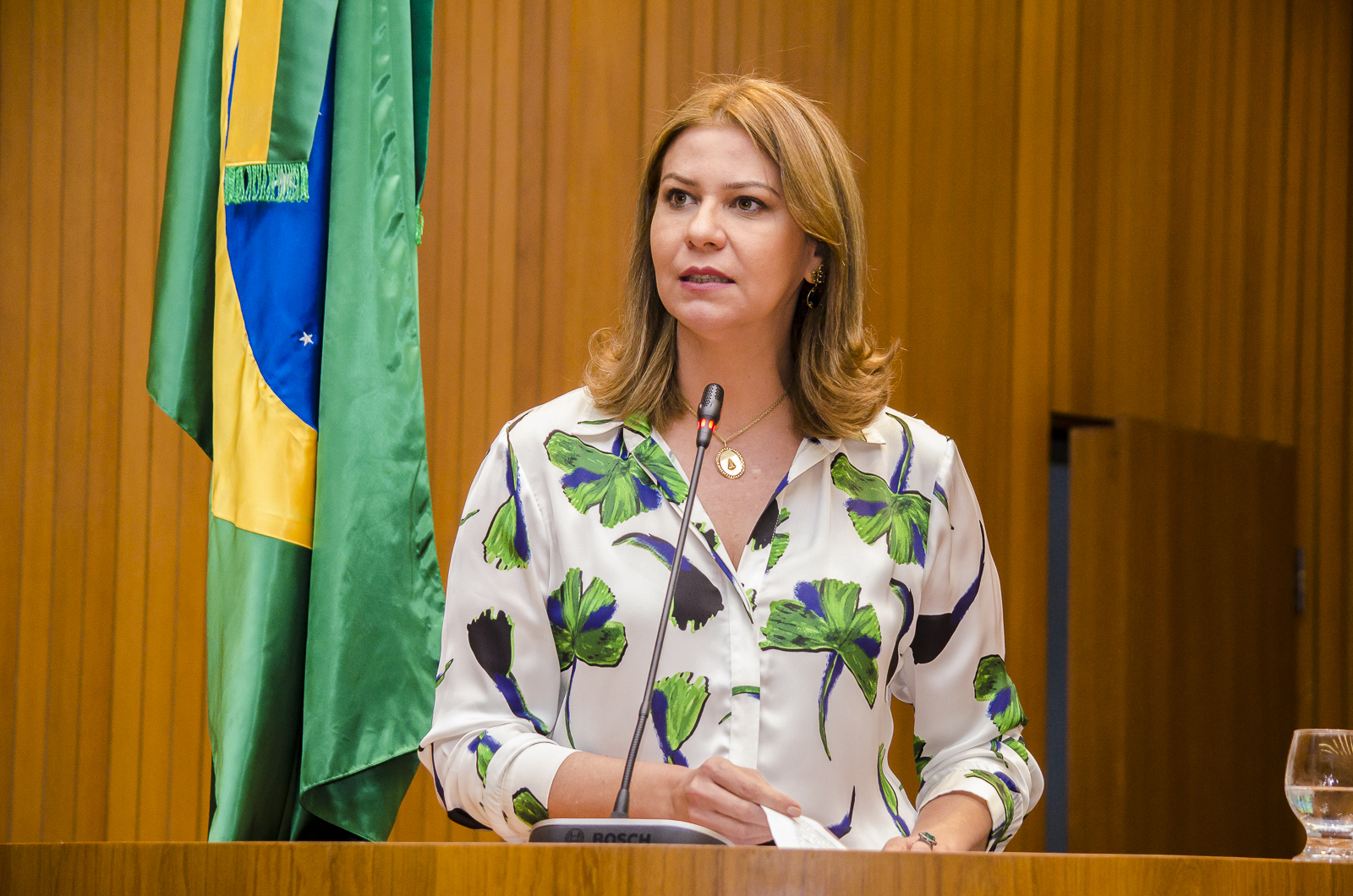 Deputada Valéria Macedo cobra recuperação de trecho da MA 256 que liga Dom Pedro a Gonçalves Dias