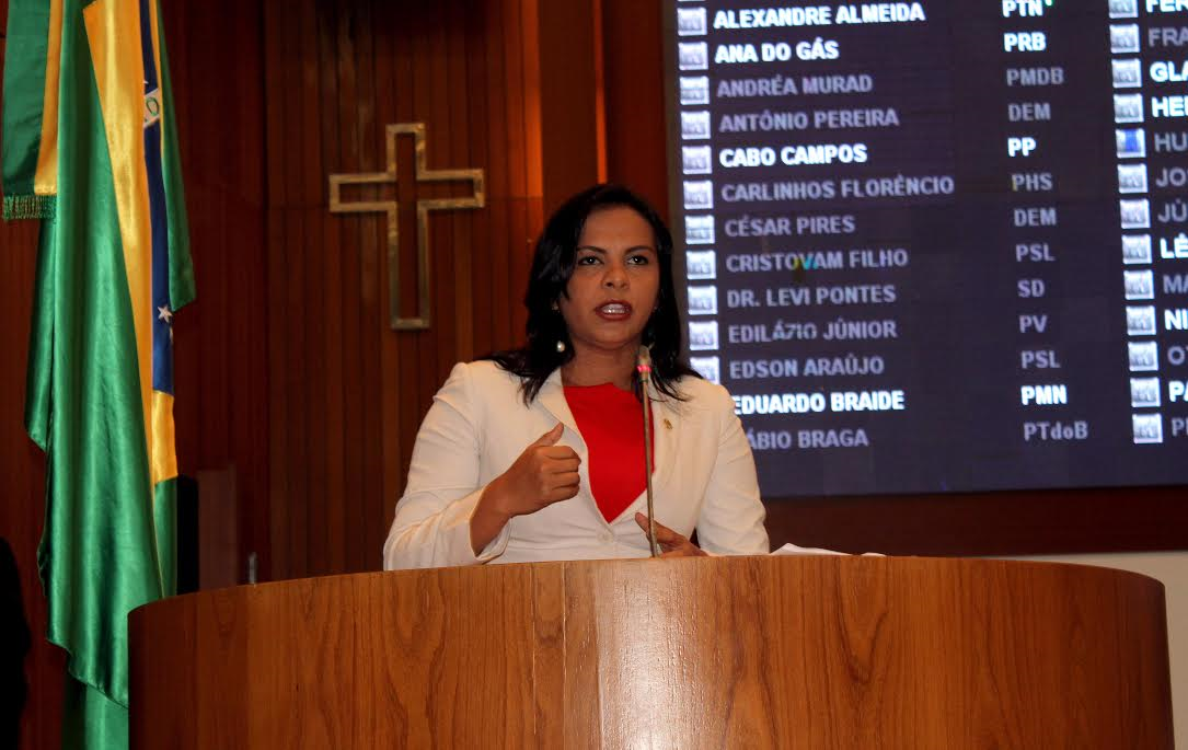 Deputada Ana do Gás esclarece atuação de termoelétrica na região do Médio Mearim