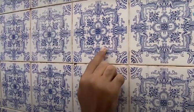 Plantas estampadas em azulejos são alvo de estudo