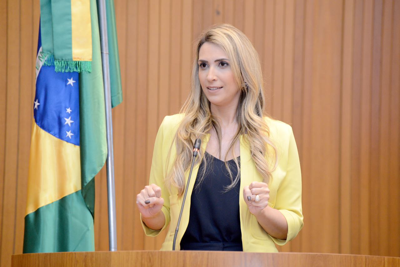 Andréa Murad defende medidas judiciais contra instrução normativa do TCE