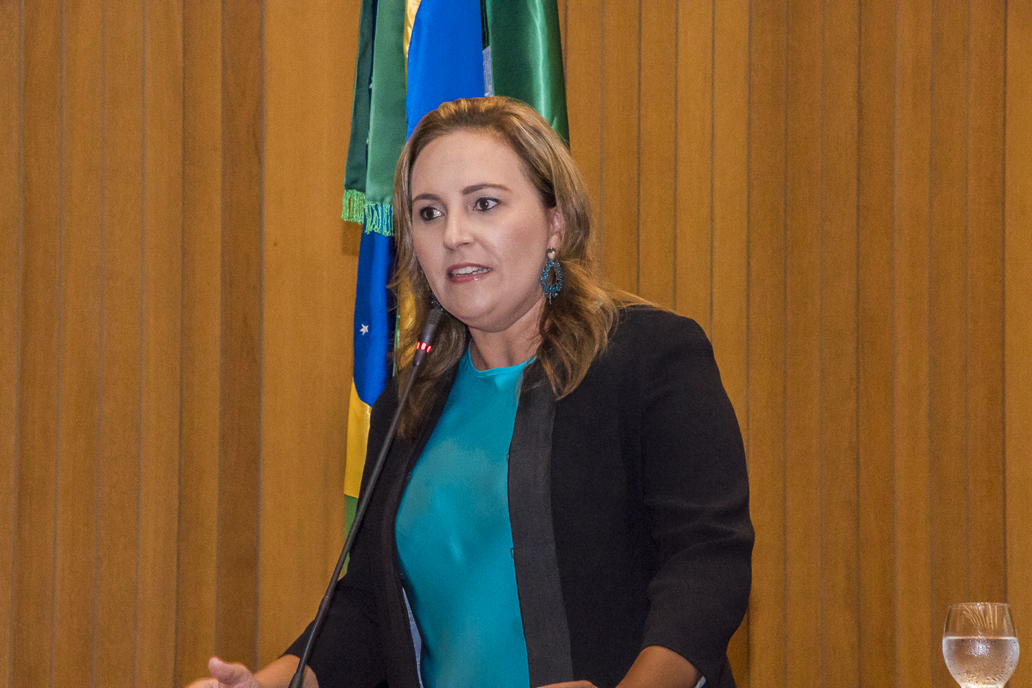 Deputada Nina Melo cobra conclusão de obras em rodovias maranhenses