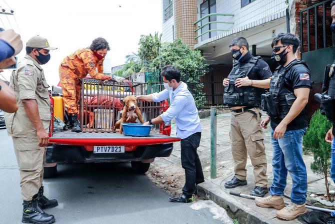 Após denúncias, Duarte, Corpo de Bombeiros e Polícia Civil resgatam cão abandonado