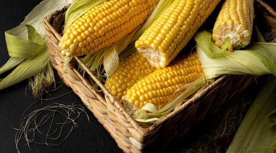 Entenda porque o milho é um dos símbolos da festa junina