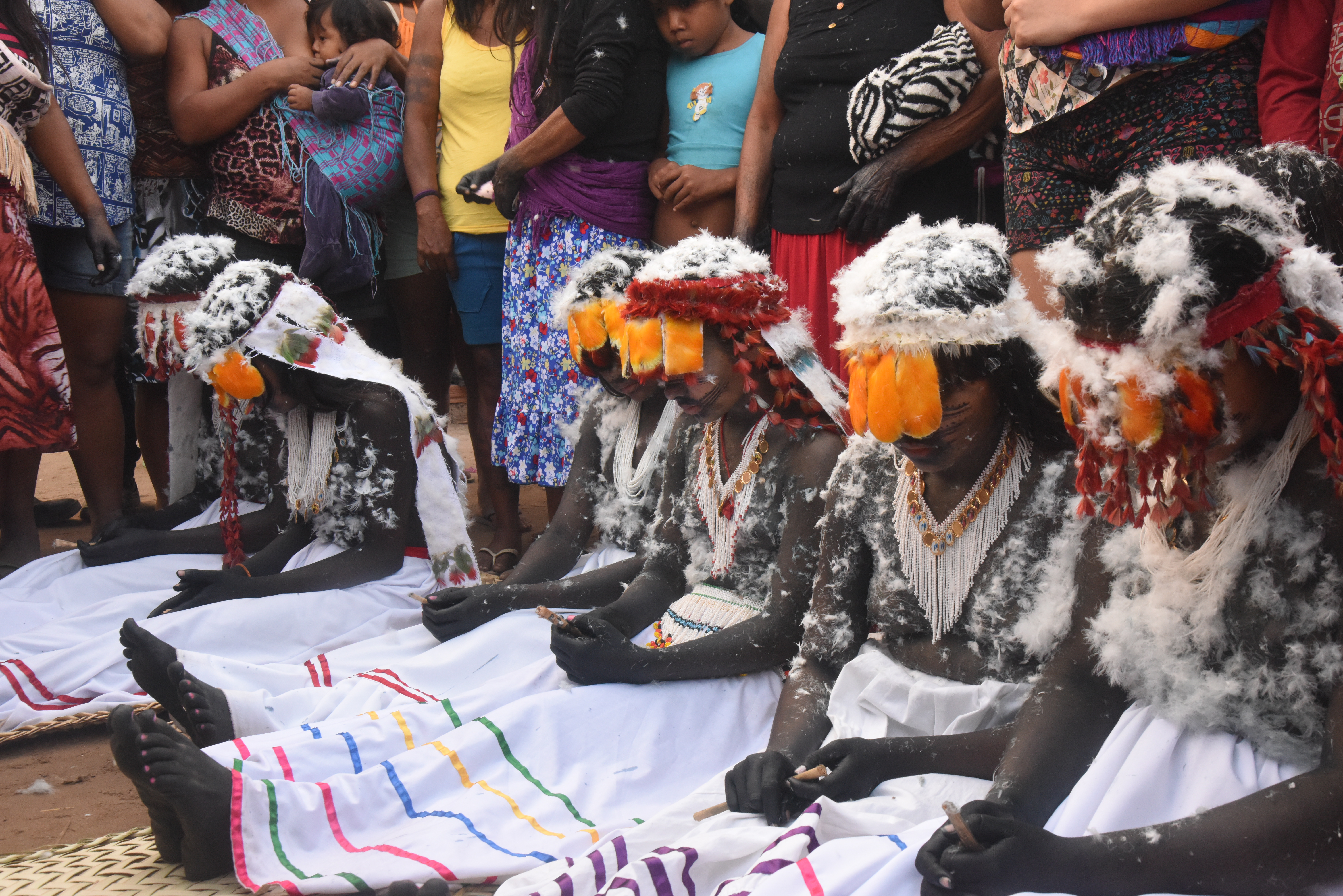 Ritual da Menina-Moça e a luta da Nação Guajajara pela preservação da tradição secular 